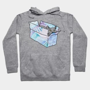 Cat in a MAGIC box Hoodie